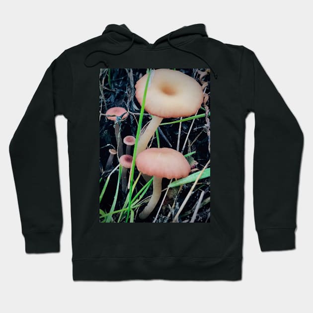 Mushroom Photography Prints #3 Hoodie by SquishyBeeArt